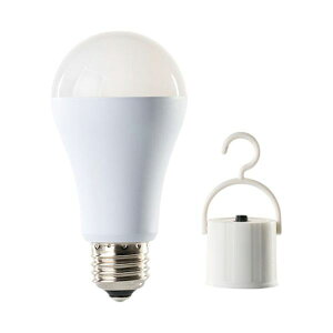 y12/5IIōő100|CgobNzyF1zKS01N-WH  sE[J[s ͂Ȑ쏊 hГd ~d^LEDd F 60W` E26 hoEh@\ IP53 KS0