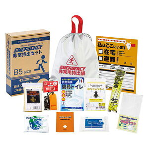 yF1z22545101  sE[J[s 펝o11_Zbg 펝o܁EhЂ̐SEzCbXECR[gERۏLgCEXeBbNEA~uPbg 