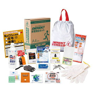 yF1z22545105  sE[J[s 펝o17_Zbg 펝o܁EhЂ̐SEzCbXEJCECR[gERۏLgCE_CiLEDCgER ق