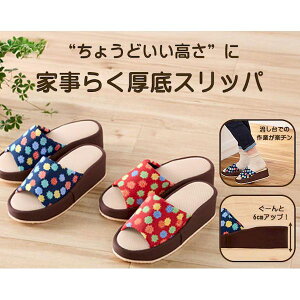 y12/10IIōő100|CgobNzK14788-1 Ǝ炭Xbp lCr[^STCY K14788