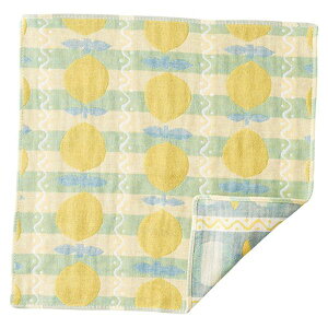 y11/25IIōő100|CgobNzyF1z22556012X5  sE[J[s 5Zbg Pocchi 3dK[[nJ` l[h