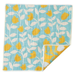 yF1z22556013X5  sE[J[s 5Zbg Pocchi 3dK[[nJ` WX~[