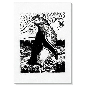 yF1zATC20801X5  sE[J[s 100×5Zbg ARTEC ŉa 60kgʉŗp 4