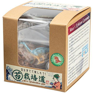 yF1zBIGARROW-SAIBAIKITINX5  sE[J[s 5Zbg rbOA[ XiSP͔|Lbgۍ͔| BIGARROWSAIBAIKITINX5