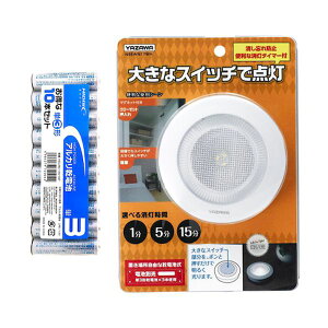 yF1zNBSWN17WH+HDLR6/1.5V10P  sE[J[s YAZAWA ^C}[t~j|Cg { AJdr P3`10{pbNZbg NBSWN17WH+HDLR61.5V10P