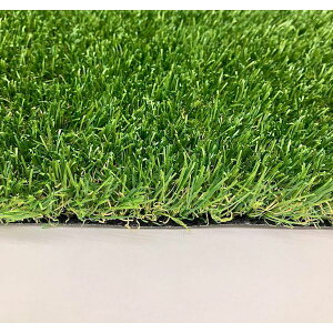 ylzszyF1z0878-00008  sE[J[s { AlH hV[gsv^Cv X^[OX AhoX 1m×10m pCF35 087800008