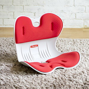 RC1220 RED  sE[J[s ՃT|[g`FAMyComfy MTCY bh RC1220RED