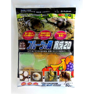 tWR B-164 ChJbv t[c̐X 琬20 16g×20 B164