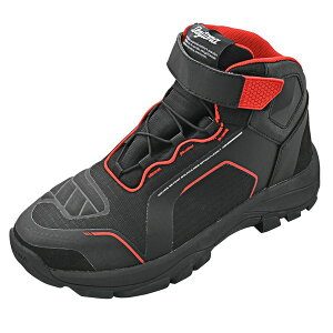 (LINE�N�[�|���L)�f�C�g�i DAYTONA 62493 DS�|502 R�|WP�V���[�Y BKRD24�D0