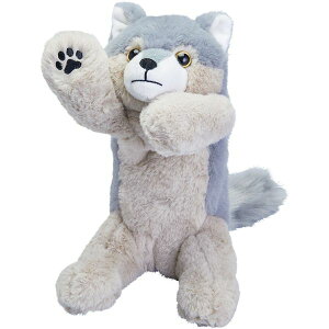 LOW KIMG JIM PZ2025 |[Y[ y|[`