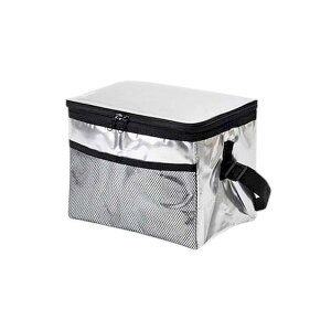 �y���F1�zMMT49168 ���� ����s�E�����[�J�[�����s�� �A�T�q���m �\�t�g�N�[���[�o�b�O �A���~ ���W���[�E�X�|�[�c���ɕ֗��ȕۗ�o�b�O 6L