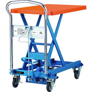 �y���[�݌ɕi�z�u�����v�_���f�B UDL-250 ���� ����s�E�����[�J�[�����s�� �X�`�[�������t�g��� �����ݖ����W���b�L�� 250kg W800×D500 UDL250