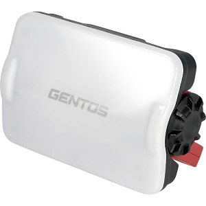 GENTOS GZ-307 ���^������ GZ307