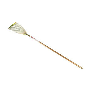 y11/25IIōő100|CgobNz4977292683906 ؕK[fN[i[ E-Value y_H |pi Y F