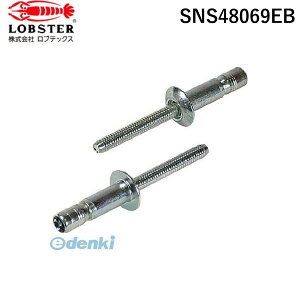 y[݌ɕizuv uebNX SNS48069EB xuChxbg S{g ۓ 4D8^6D9mm 100{ Gr xuChxbg X`[