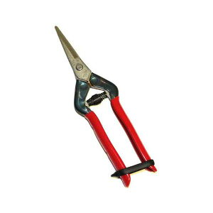 (LINE�N�[�|���L)�ߐ� T55SH �X�e�����X��� �E����