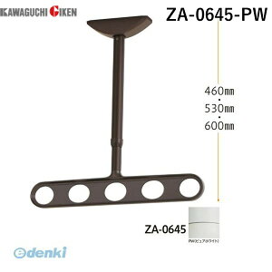 Z ZA-0645-PW zXN[ Vp A[dl sAzCg 2{ ZA0645PW