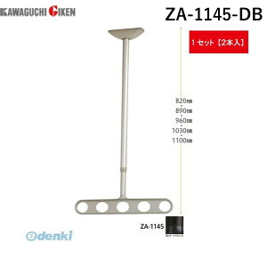 Z ZA-1145-DB zXN[ Vp A[dl _[NuY 2{ ZA1145DB