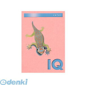 ɓ BT604 sN oCIgbvJ[A3y500z BT604sN