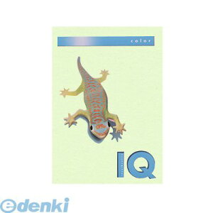 y12/5IIōő100|CgobNzɓ BT605 O[ oCIgbvJ[A3y500z BT605O[