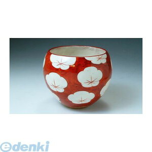 【個数:1個】 KTA136 直送 代引不可・他メーカー同梱不可 赤小梅 お茶呑茶碗五客揃