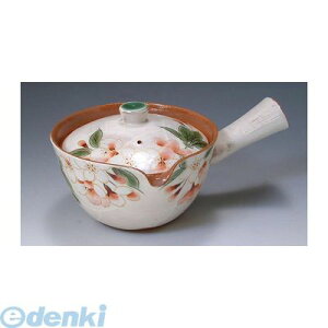 yF1z KTA284  sE[J[s | }{