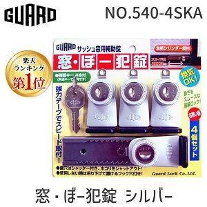 y11/25IIōő100|CgobNzK[hbN NO.540-4SKA Eځ[Ə Vo[ L[ y4zNO.5404SKA