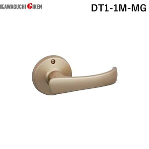 Z DT1-1M-MG TKo[  DT1|1M|MG S[hDT11MMG ֗po[nh S[hF