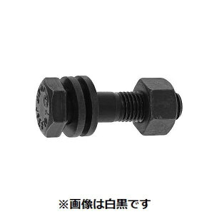 (LINE�N�[�|���L)�y�l��z���s�zSUNCO 4548325502053 �y13���z���� ����s�E�����[�J�[�����s�� �Z�p�n�C�e�� F10T 16X75
