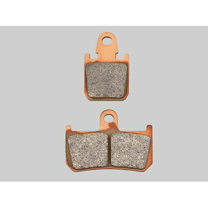 fCgi DAYTONA 97148 S[fpbhX yFzYZF|R1y07 u[Lpbh tg }n