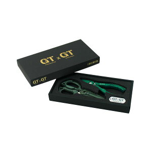 GWjA ENGINEER PGT-01 GTpbN PGT01 lWUEX ƓSrnT~