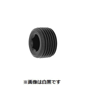 y12/5IIōő100|CgobNzylzszyF50zSUNCO 4548325580334 y50z  sE[J[s vONB ͒ PT 3^4