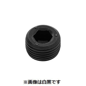 (LINE�N�[�|���L)�y�l��z���s�z�y���F500�zSUNCO 4548325580389 �y500���z ���� ����s�E�����[�J�[�����s�� �v���O ����NPTF DB 1�^8