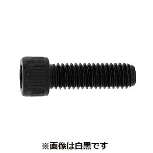 (LINE�N�[�|���L)�y�l��z���s�z�y���F25�zSUNCO 4548325583519 �y25���z ���� ����s�E�����[�J�[�����s�� �X�e��CAP UNC 1�^4�|20X5�h