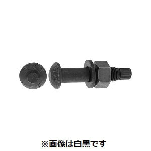 ylzszSUNCO 4548325789270 y5z sE[J[s gVA^̓{g S10T 24X105
