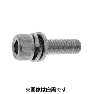 ylzszyF300zSUNCO 4549388260096 y300z  sE[J[s jbP 10D9CAP I4 6 X 10