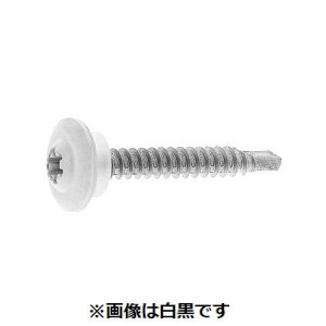 ylzszyF300zSUNCO 4549388323227 y300z  sE[J[s Thz bNX^|hgX 5 X 35