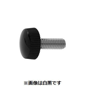 ylzszyF300zSUNCO 4549638613429 y300z  sE[J[s SUS iCσlW  NOD3 5 X 19