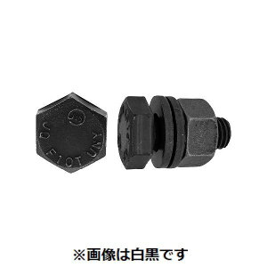 y12/5IIōő100|CgobNzylzszSUNCO 4549638891698 y29z sE[J[s ZpnCe F10T j^Cg 12X30