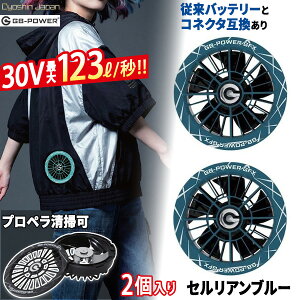 �y���[�݌ɕi�zGB-POWER 30V �t�@���Z�b�g �Z�����A���u���[ ����J���[ GFXCB ���M�W���p�� �󒲃E�F�A �t�@�� �󒲃E�F�A�p ���o�� �啗�� �É� �u���V���X���[�^�[ �M���Ǒ΍� DC�P�[�u���t�� 