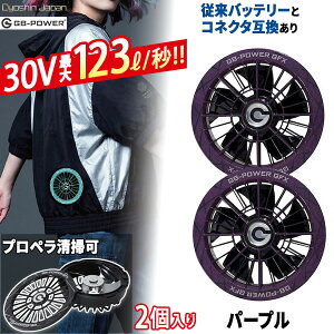 �y���[�݌ɕi�zGB-POWER 30V �t�@���Z�b�g �p�[�v�� GFXPU ���M�W���p�� �󒲃E�F�A �t�@�� �󒲃E�F�A�p ���o�� �啗�� �É� �u���V���X���[�^�[ �M���Ǒ΍� DC�P�[�u���t�� �����p �t�@�����j�b