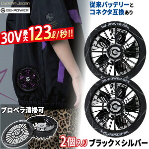 �y���[�݌ɕi�zGB-POWER 30V �t�@���Z�b�g �u���b�N×�V���o�[ ����J���[ GFXSBS ���M�W���p�� �󒲃E�F�A �t�@�� �󒲃E�F�A�p ���o�� �啗�� �É� �u���V���X���[�^�[ �M���Ǒ΍� DC�P�[�u���t