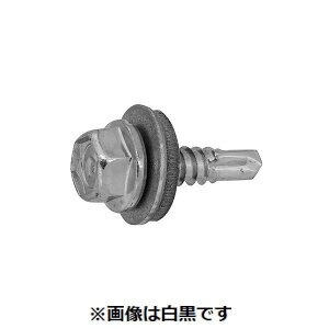 ylzszyF750zSUNCO 4549663379901 y750z  sE[J[s OzCg sAXBDWV[HEXO[ 5 X 19