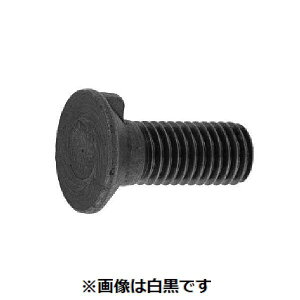 (LINE�N�[�|���L)�y�l��z���s�z�y���F15�zSUNCO 4550041693175 �y15���z ���� ����s�E�����[�J�[�����s�� ���n SS�L�[�t���M�{���g 20X65 �[��