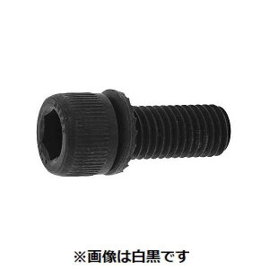 ylzszyF500zSUNCO 4550041739620 y500z  sE[J[s GT|CAP SA 4 X 12