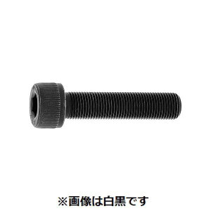 (LINE�N�[�|���L)�y�l��z���s�zSUNCO 4550041843051 �y2���z���� ����s�E�����[�J�[�����s�� CAP �ז�P�|1�D5 24 X 170