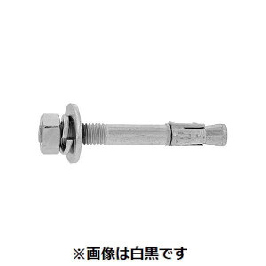 【個人宅配送不可】【個数:25個】SUNCO 4550041880759 【25個入】 直送 代引不可・他メーカー同梱不可 HSAアンカー HSA−SS M12X100