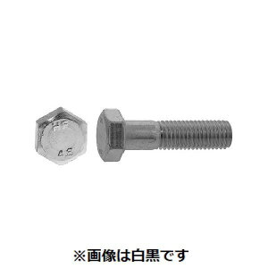 ylzszSUNCO 4550186157624 y18z sE[J[s hu ZpBT lW HF 12X150