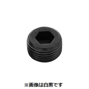 ylzszSUNCO 4550186890347 y1000z  sE[J[s DRYV[ GOSHOvO  NPTF GDL 1^16