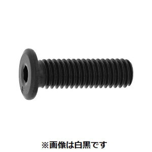 (LINE�N�[�|���L)�y�l��z���s�z�y���F70�zSUNCO 4550289071131 �y70���z ���� ����s�E�����[�J�[�����s�� NS���[�w�b�h �p���[�G�C�g 10 X 60